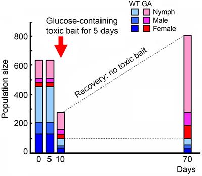 Changes in the Peripheral Chemosensory System Drive Adaptive Shifts in Food Preferences in Insects